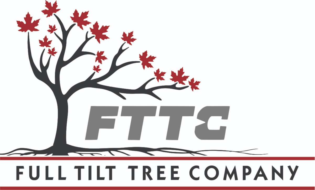 Full Tilt Tree Company - cleaning contractor in Kitchener