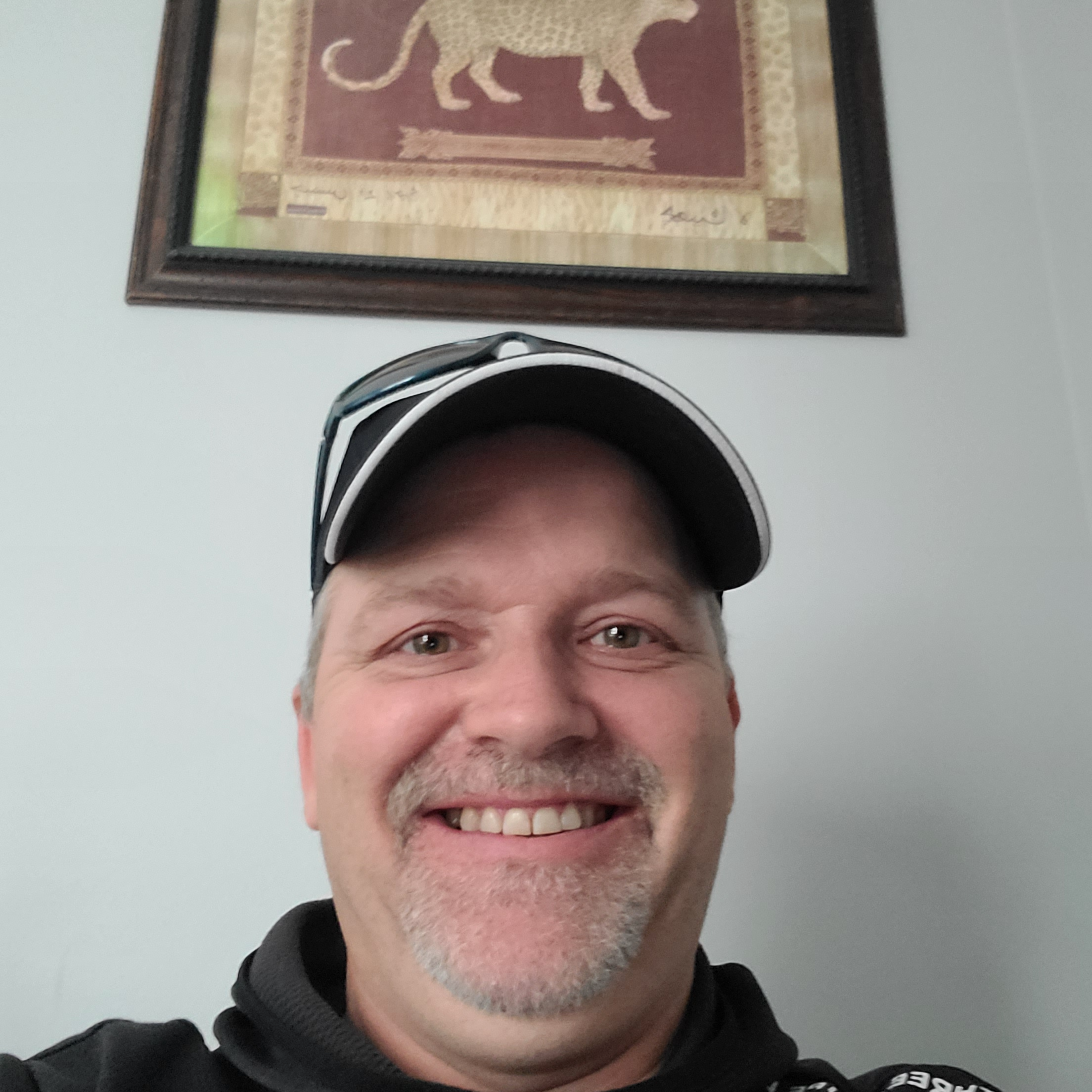 Taylors Flooring and Handyman - window frames contractor in Ingersoll