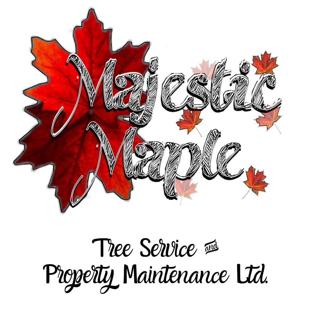 Majestic Maple Tree Service & Property Maintenance Ltd - plaster contractor in Brampton
