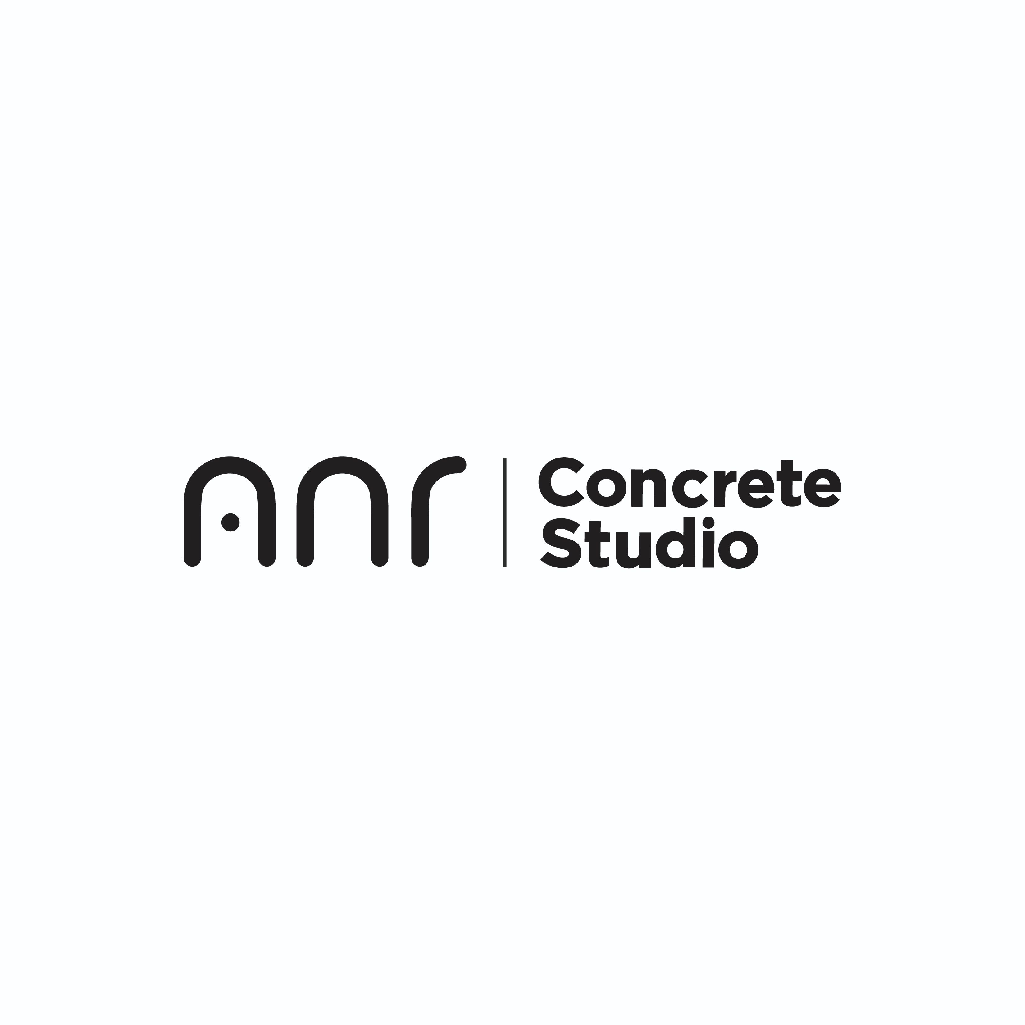ANR Concrete Studio Inc - carpentry contractor in Windsor